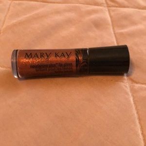 Mary Kay lip gloss- Rich Spice